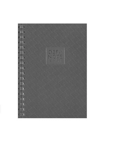 Özkan Deepnote 17x24 Sp.çizgisiz Defter 100 Yap. Platin Gri ürün görseli 1