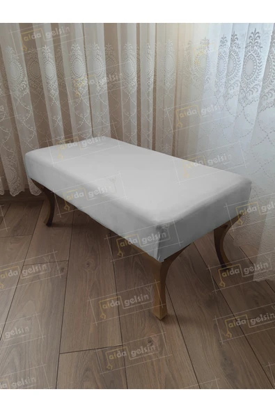 aldagelsin Ayak Ucu Kapı Önü Antre Düz Bench Puf Orta Sehpa Gold Ayak (90*45) Beyaz 90 x 45 ürün görseli 1
