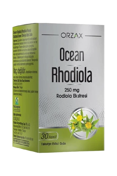 ASFSTORE Ocean Rhodiola 30 Kapsül 2 Adet - Resim 2