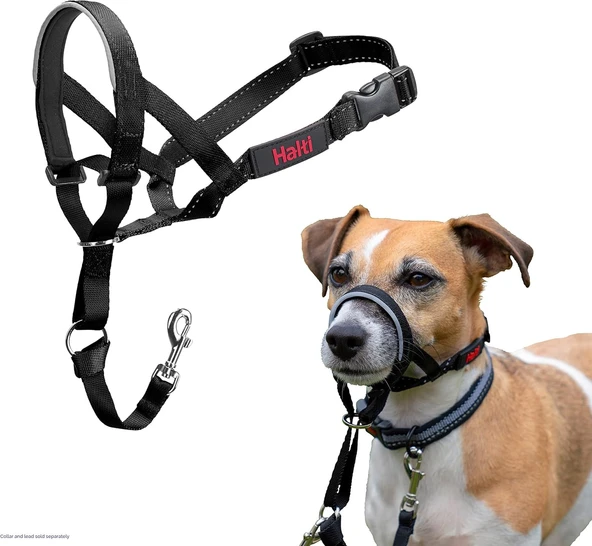 Halti Headcollar, Siyah, Boyut 1 - Resim 2
