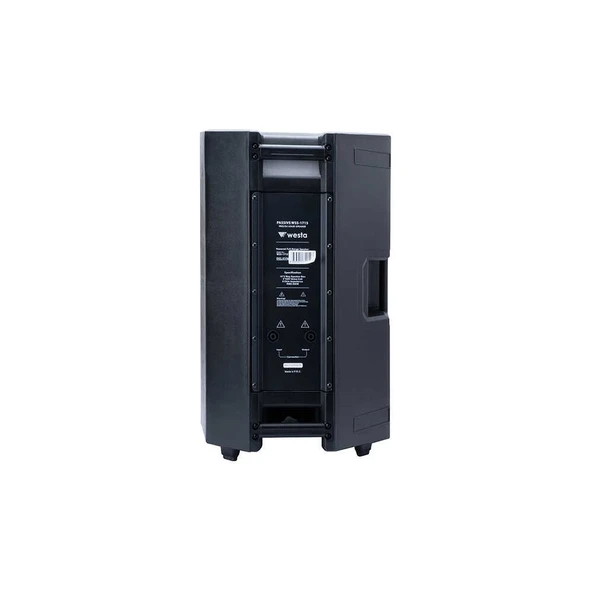 WESTA WSS-1715 15'' PASİF HOPARLÖR - Resim 2