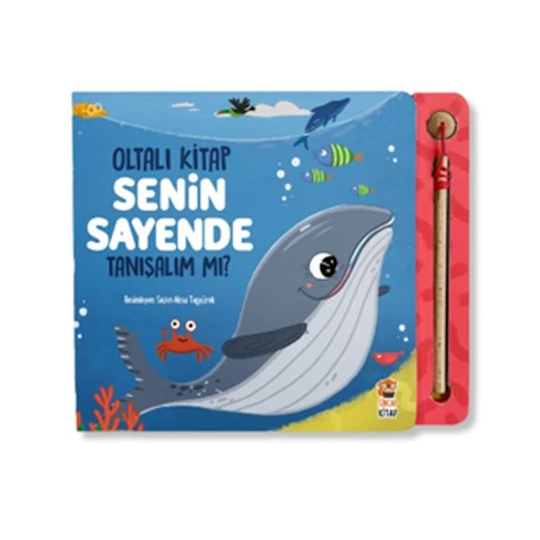 Senin Sayende - Tanışalım mı? ürün görseli 1