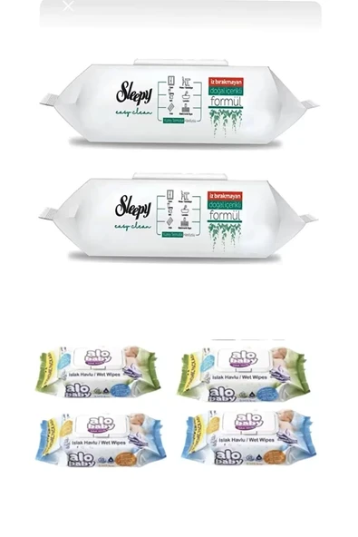 Easy Clean 100 Lü Yüzey Temizlik Havlusu 2 Adet Alobaby Ekopack Islak Havlu 4 X 120li (480 yaprak) ürün görseli 1