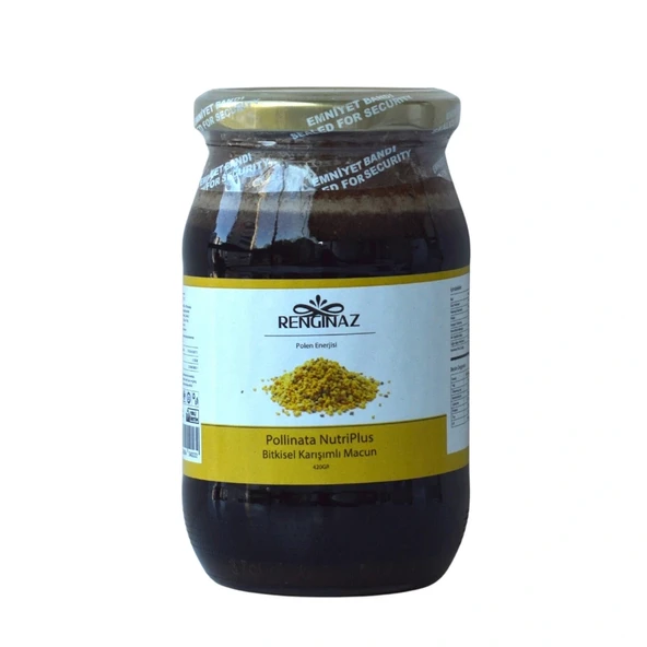 Renginaz Pollinata NutriPlus Bitkisel Karışımlı Macun 420 gr ürün görseli 1