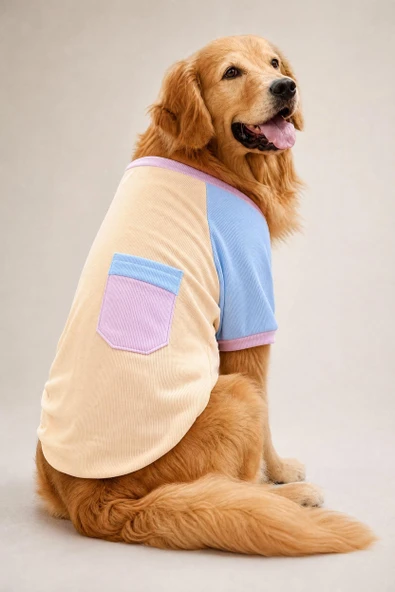 Soft Sun Orta ve Büyük Irk Köpek Tişörtü | Sarı Mavi Pembe Yazlık Köpek Kıyafeti ürün görseli 1