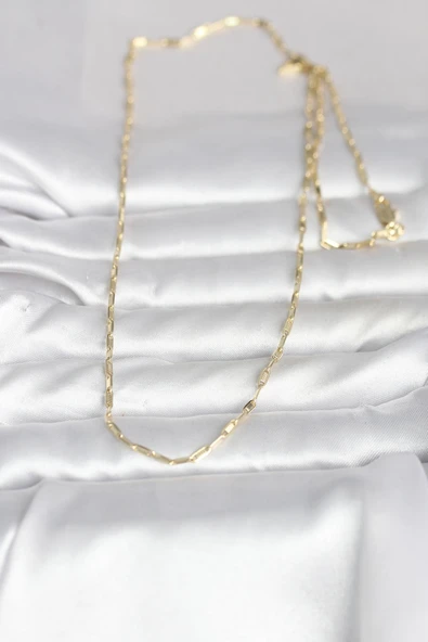 CM 14K Gold Renk İnce Ataç Zincir Model 60 cm Kadın Kolye ürün görseli 1