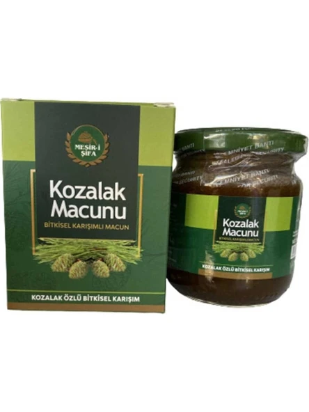 Mesir-i Şifa Kozalak Macunu 240 gr ürün görseli 1