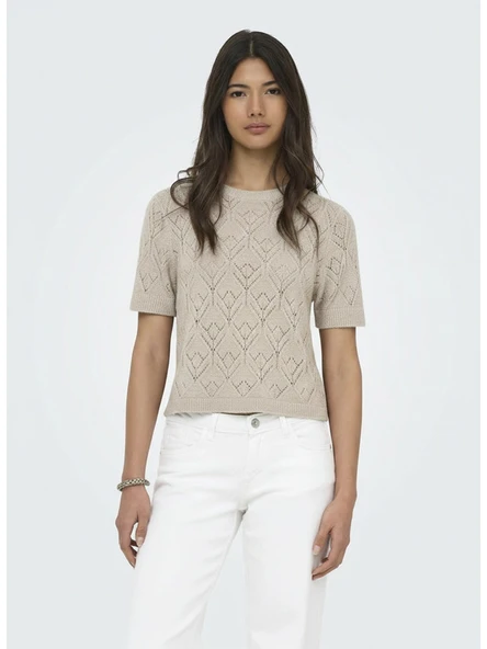 Only   ONLSUNNY S/S STRUCTURE PULLOVER KNT Kadın Beige Kazak - 15350928 ürün görseli 1