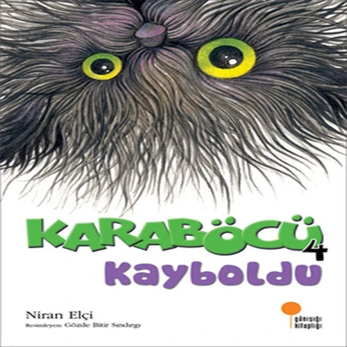 Karaböcü Kayboldu ürün görseli 1