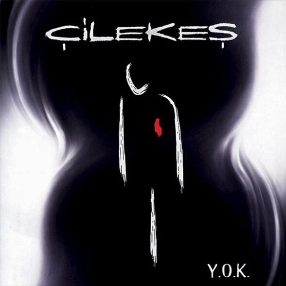 Çilekeş Y.O.K. LP Plak ürün görseli 1