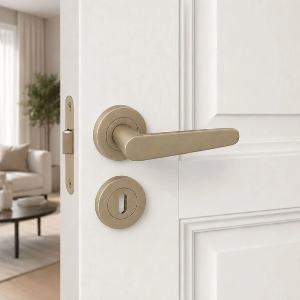 Kayı Titanyum Renk Rozetli Kapı Kolu Oda Kapıları İçin Modern Tasarım 1 Takım Kapı Kolu ürün görseli 1