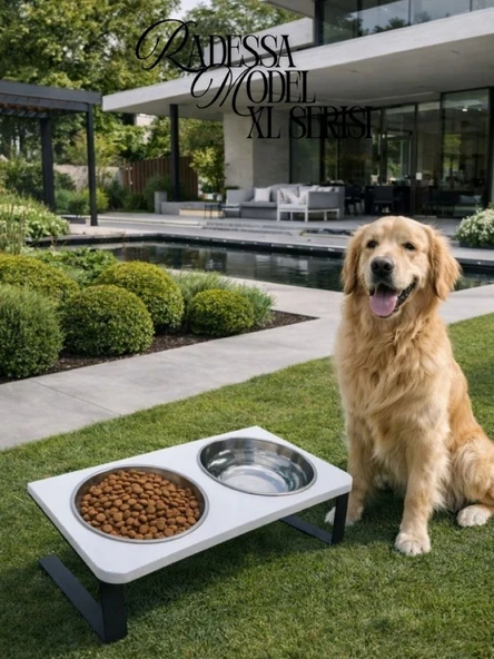 Büyük ve Orta Boy Köpekler için %10 Eğimli Mama Kabı Çift Hazneli Su ve Mama Kabı Standı ürün görseli 1