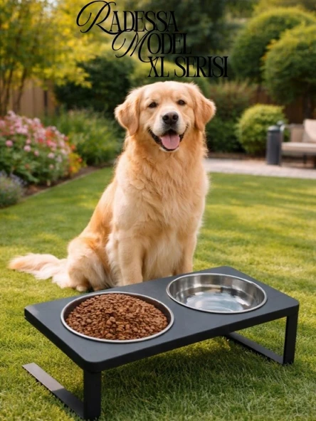 Köpekler İçin %10 Eğimli XL Model Mama Standı İkili Mama ve Su Kabı Standı Paslanmaz Çelik Hazneli ürün görseli 1