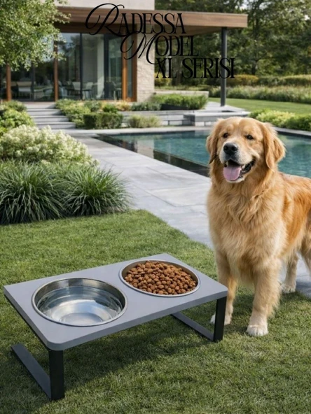 Büyük Boy Köpek için %10 Eğimli Mama Kabı Yüksek Standlı Çift Hazneli Su ve Mama Kabı ürün görseli 1
