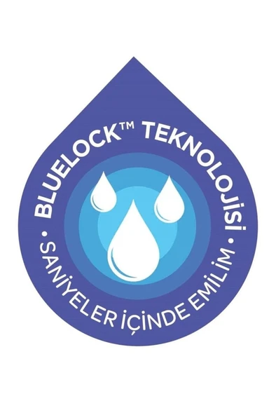 Blue Lock Göğüs Pedi 60 Adet - Resim 3