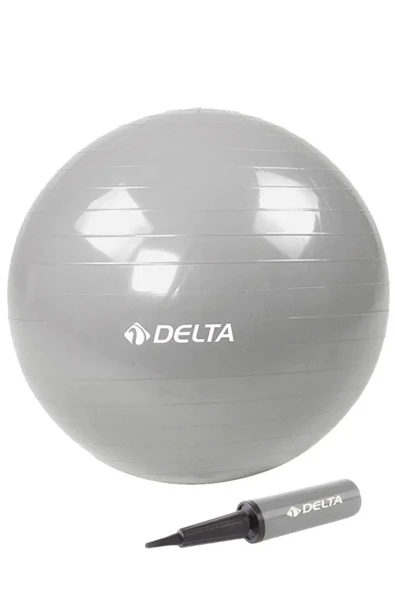 Delta 65 Cm Pilates Topu Gümüş PTG567 ürün görseli 1