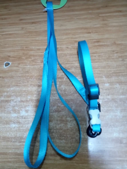 Senye Köpek Takım Boyun Tasma S 2.5cm 120 CM ürün görseli 1