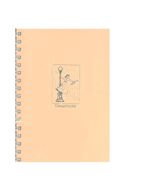 Özkan Deep Note 17x24 Sp.kareli Defter 100yap.pastel Turuncu ürün görseli 1