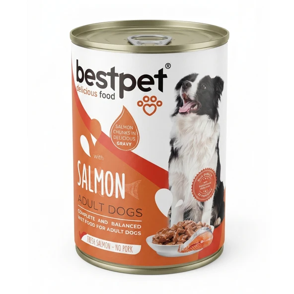 Bestpet Jöle İçinde Parça Etli Somon Balıklı Konserve Yetişkin Köpek Maması 400 gr ürün görseli 1