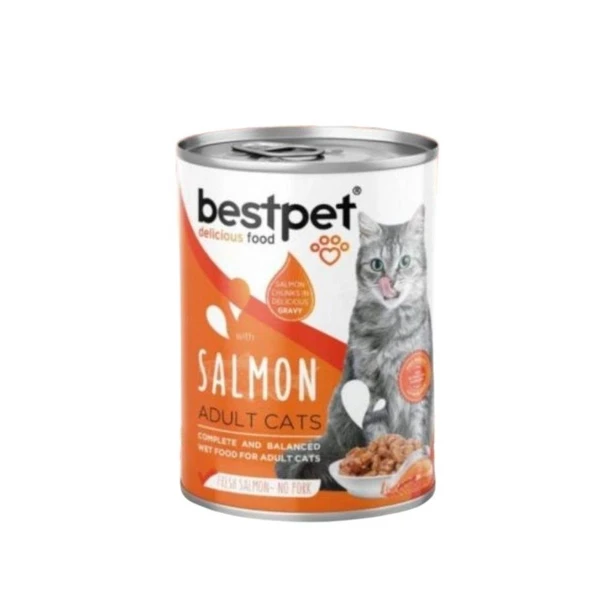 Bestpet Somonlu Yetişkin Kedi Konservesi 400 gr ürün görseli 1