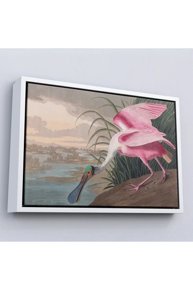 Trezon Ahşap Çerçeveli John James Audubon - Pembe Kaşıkçı Kuşu Tablo-7120 ürün görseli 1