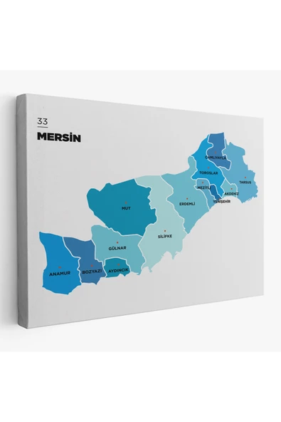 Trezon Mersin İli ve İlçeler Haritası Dekoratif Kanvas Tablo 1420 ürün görseli 1