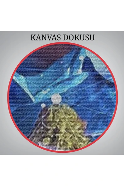 Trezon Albert Einstein E=mc2 Kanvas Tablo, Matematik Öğretmeninin Hediyesi-5244 - Resim 5