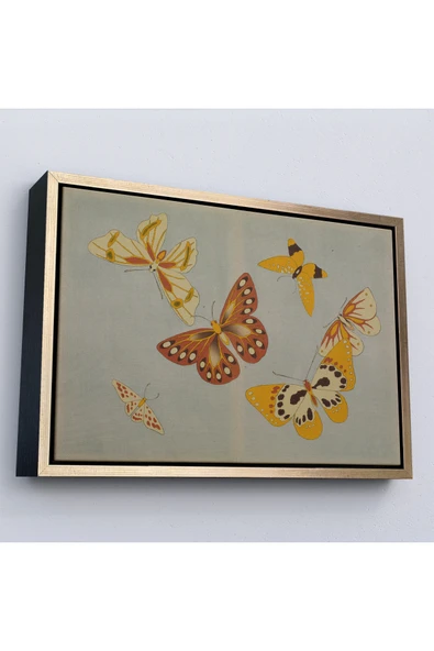 Trezon Ahşap Çerçeveli Vintage Japon Kelebeği Tablosu-7040 ürün görseli 1