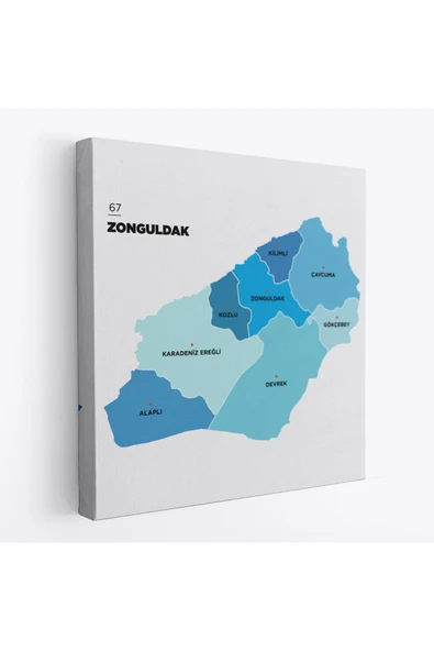 Trezon Zonguldak İli ve İlçeler Haritası Dekoratif Kanvas Tablo 1489 ürün görseli 1