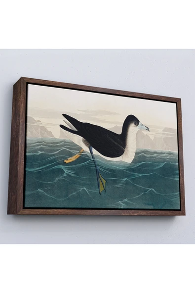 Trezon Ahşap Çerçeveli Robert Havell, John James Audubon Esmer Kuş Tablosu-7034 ürün görseli 1