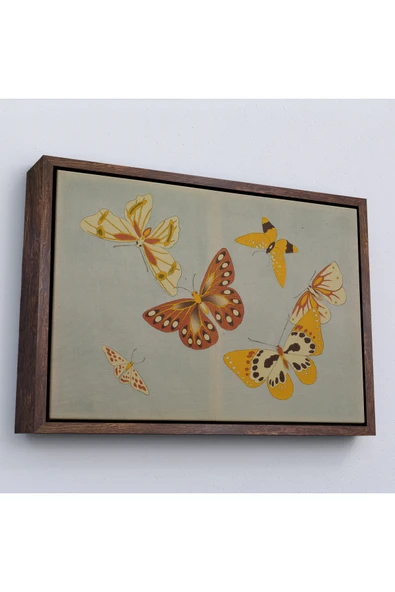 Trezon Ahşap Çerçeveli Vintage Japon Kelebeği Tablosu-7040 ürün görseli 1