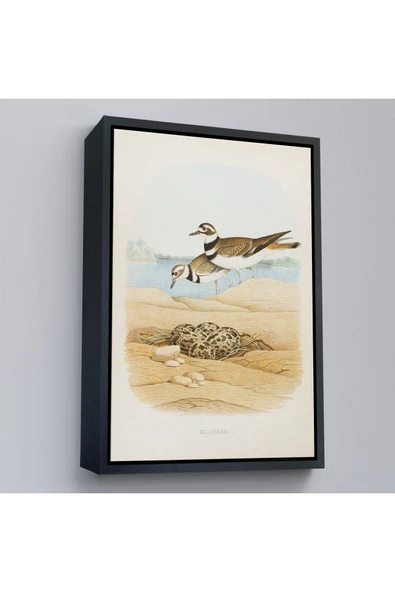 Trezon Ahşap Çerçeveli Edwin L. Sheppard - Öldürücü Tablo - Killdeer-7338 ürün görseli 1