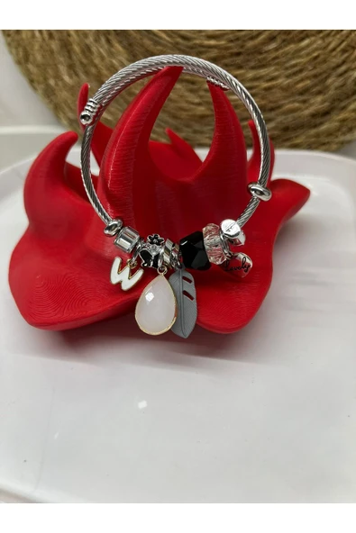 TIGEA Accessories ÇELİK CHARMLI BİLEKLİK/PAND ürün görseli 1