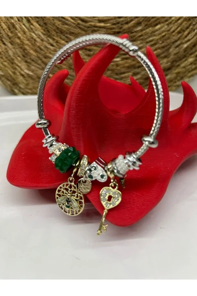 TIGEA Accessories ÇELİK CHARMLI BŞLEKLİK ürün görseli 1