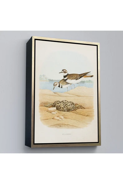 Trezon Ahşap Çerçeveli Edwin L. Sheppard - Öldürücü Tablo - Killdeer-7338 ürün görseli 1