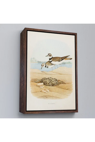 Trezon Ahşap Çerçeveli Edwin L. Sheppard - Öldürücü Tablo - Killdeer-7338 ürün görseli 1