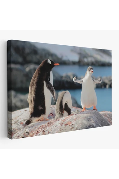 Trezon Mutlu Penguenler Dekoratif Kanvas Tablo 1172 ürün görseli 1