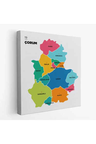 Trezon Çorum İli ve İlçeler Haritası Dekoratif Kanvas Tablo 1315 ürün görseli 1