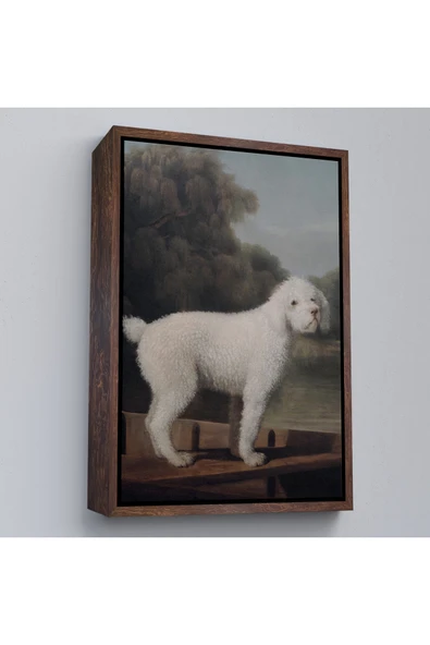 Trezon Ahşap Çerçeveli George Stubbs Beyaz Kaniş Tablo-8034 ürün görseli 1