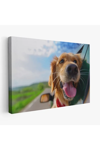 Trezon Köpek Dekoratif Kanvas Tablo 1130 ürün görseli 1