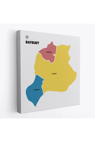 Trezon Bayburt İli ve İlçeler Haritası Dekoratif Kanvas Tablo 1289 ürün görseli 1