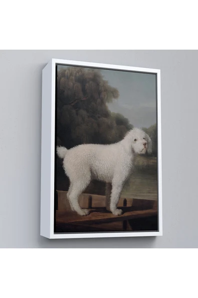 Trezon Ahşap Çerçeveli George Stubbs Beyaz Kaniş Tablo-8034 ürün görseli 1