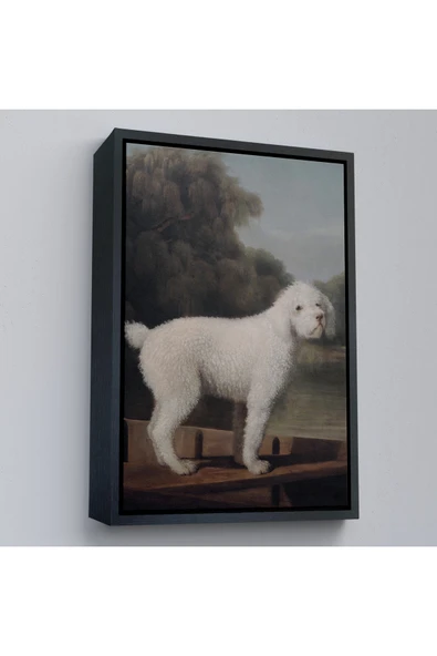 Trezon Ahşap Çerçeveli George Stubbs Beyaz Kaniş Tablo-8034 ürün görseli 1