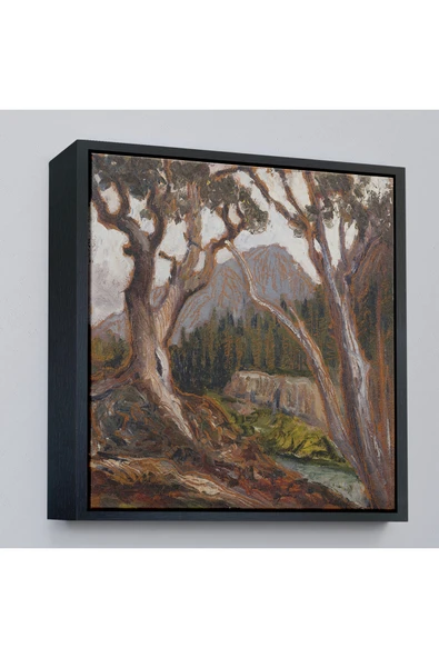 Trezon Ahşap Çerçeveli Loch Vale'Den Long Zirvesi, Estes Park, Colorado Tablosu-8349 ürün görseli 1