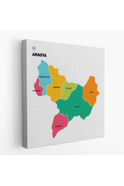Trezon Amasya İli ve İlçeler Haritası Dekoratif Kanvas Tablo 1263 ürün görseli 1