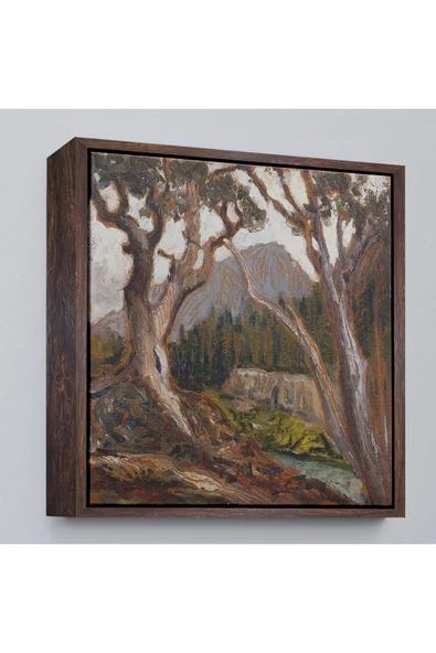 Trezon Ahşap Çerçeveli Loch Vale'Den Long Zirvesi, Estes Park, Colorado Tablosu-8349 ürün görseli 1