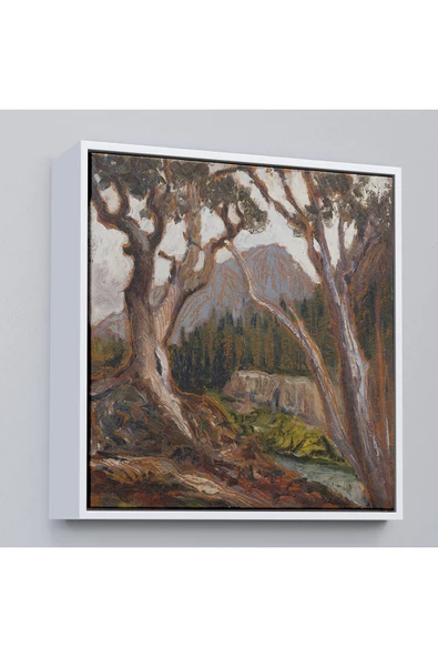 Trezon Ahşap Çerçeveli Loch Vale'Den Long Zirvesi, Estes Park, Colorado Tablosu-8349 ürün görseli 1