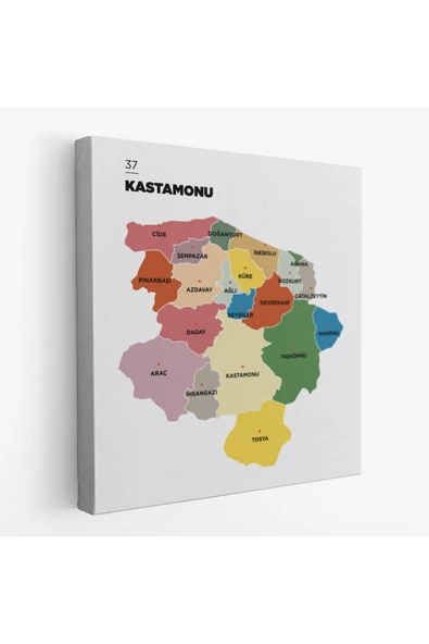 Trezon Kastamonu İli ve İlçeler Haritası Dekoratif Kanvas Tablo 1383 ürün görseli 1