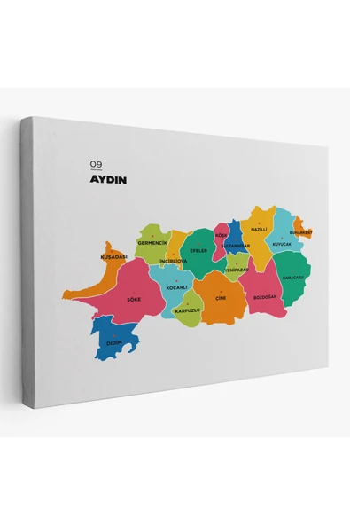 Trezon Aydın İli ve İlçeler Haritası Dekoratif Kanvas Tablo 1276 ürün görseli 1