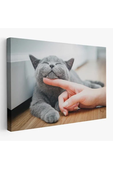 Trezon Sevimli Kedi Dekoratif Kanvas Tablo-6505 ürün görseli 1